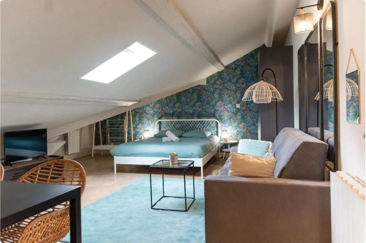 Lafayette Boheme Chic Lägenhet Lyon